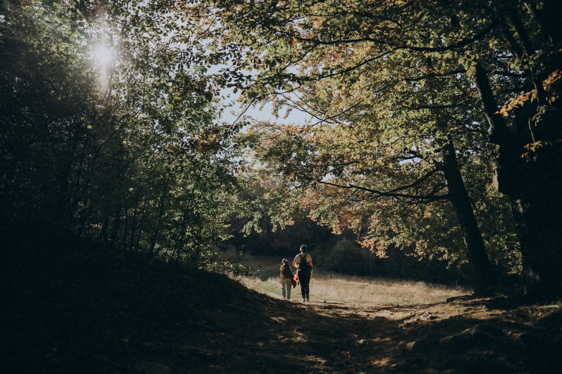 A multi-generational family walking together through an autumn Canadian forest