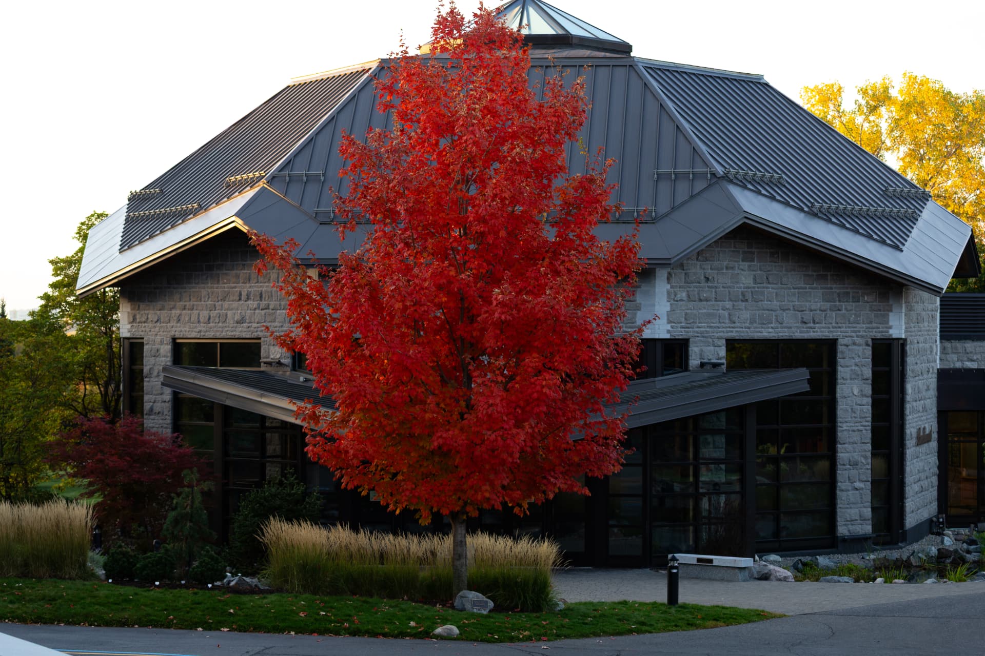 Adopt a tree on Beechwood grounds